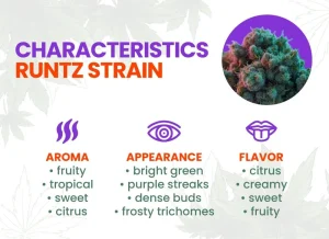 Runtz Strain Review: Comprehensive Marijuana Strain Guide