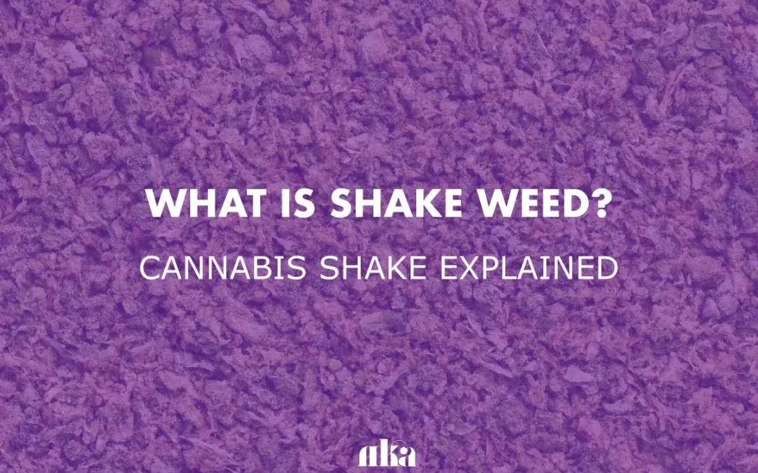 What is Shake Weed? Cannabis Shake Explained by Canna Center Dispensary