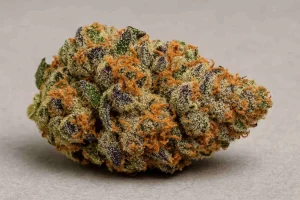 Sherbanger Strain Review | Sherbanger Weed Strain