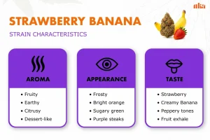 Strawberry Banana Strain Review | Strawberry Banana Strain