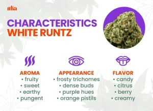 White Runtz Strain Review | White Runtz Weed Strain